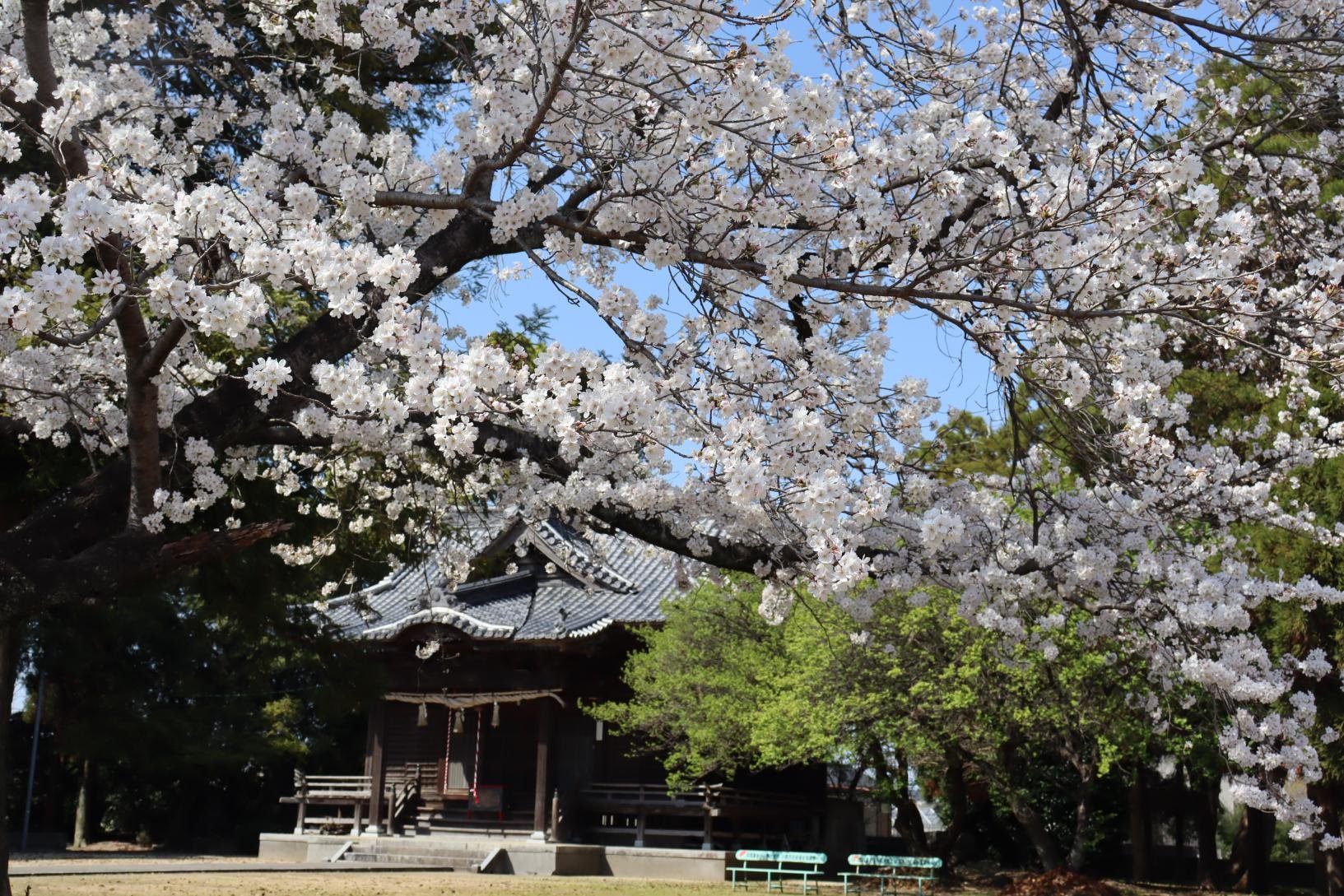 ⛩️ 대 나카토미 신사(오나카토미 진자) 이미지 1